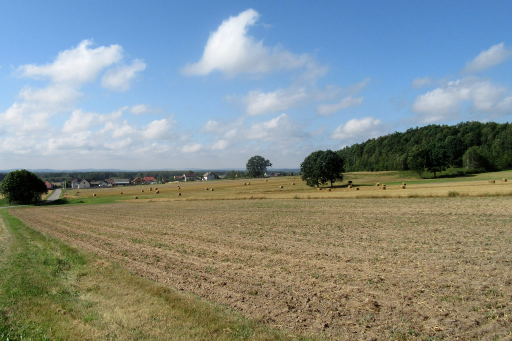 Krajobraz, las, chmury