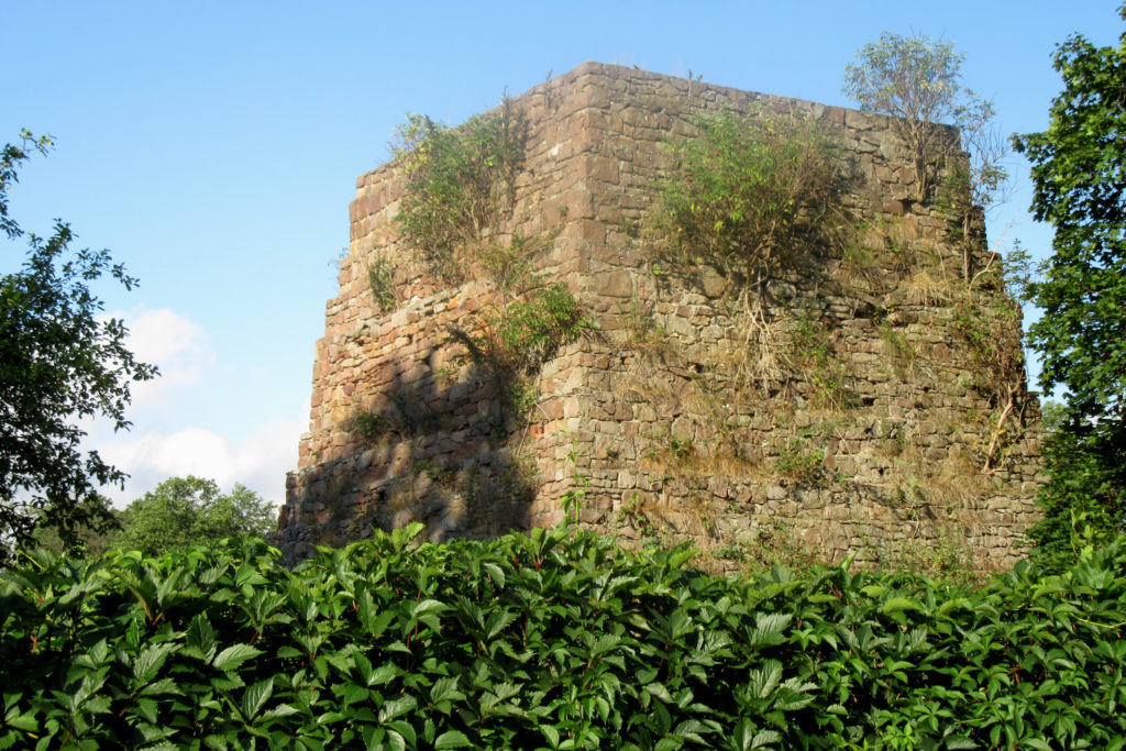 Ruiny, żywopłot, Wielki Piec