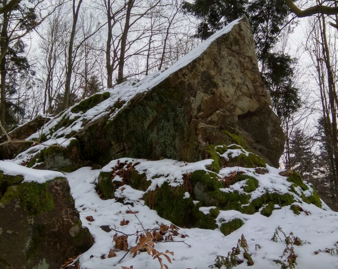 Wychodnia skalna, las, śnieg